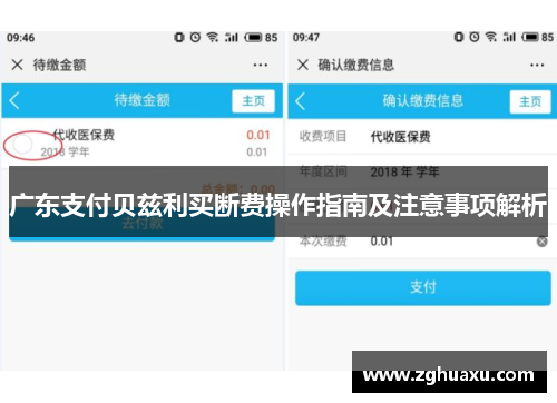 广东支付贝兹利买断费操作指南及注意事项解析