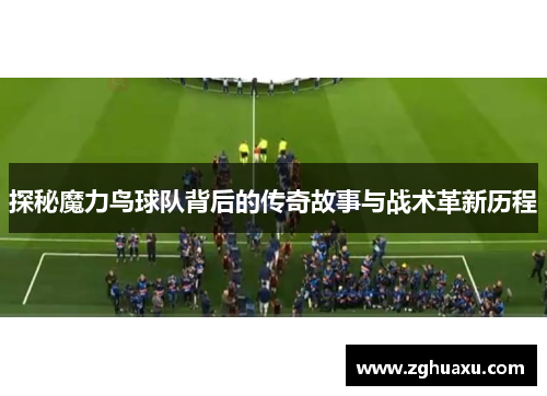 探秘魔力鸟球队背后的传奇故事与战术革新历程
