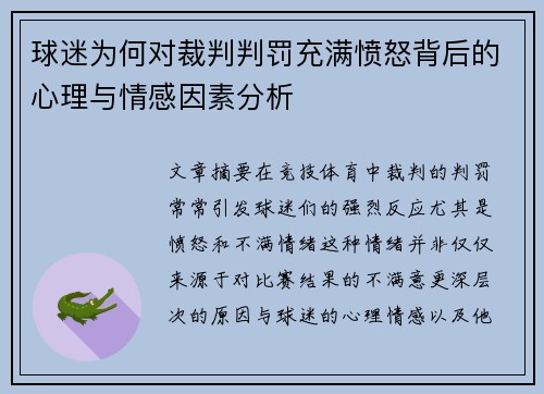 球迷为何对裁判判罚充满愤怒背后的心理与情感因素分析